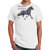 Ultra Cotton ® 100% Cotton T Shirt Thumbnail