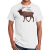 Ultra Cotton ® 100% Cotton T Shirt Thumbnail