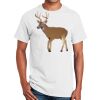Ultra Cotton ® 100% Cotton T Shirt Thumbnail