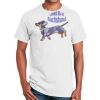 Ultra Cotton ® 100% Cotton T Shirt Thumbnail