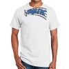 Ultra Cotton ® 100% Cotton T Shirt Thumbnail