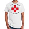 Ultra Cotton ® 100% Cotton T Shirt Thumbnail