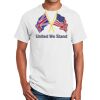 Ultra Cotton ® 100% Cotton T Shirt Thumbnail