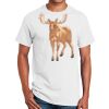 Ultra Cotton ® 100% Cotton T Shirt Thumbnail
