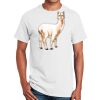 Ultra Cotton ® 100% Cotton T Shirt Thumbnail