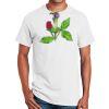 Ultra Cotton ® 100% Cotton T Shirt Thumbnail