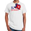 Ultra Cotton ® 100% Cotton T Shirt Thumbnail