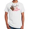 Ultra Cotton ® 100% Cotton T Shirt Thumbnail