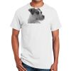 Ultra Cotton ® 100% Cotton T Shirt Thumbnail