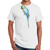 Ultra Cotton ® 100% Cotton T Shirt Thumbnail