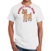 Ultra Cotton ® 100% Cotton T Shirt Thumbnail