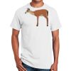 Ultra Cotton ® 100% Cotton T Shirt Thumbnail
