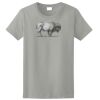 Ladies Ultra Cotton ® 100% Cotton T Shirt Thumbnail
