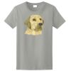 Ladies Ultra Cotton ® 100% Cotton T Shirt Thumbnail