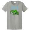 Ladies Ultra Cotton ® 100% Cotton T Shirt Thumbnail