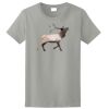 Ladies Ultra Cotton ® 100% Cotton T Shirt Thumbnail