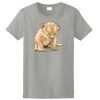 Ladies Ultra Cotton ® 100% Cotton T Shirt Thumbnail