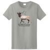 Ladies Ultra Cotton ® 100% Cotton T Shirt Thumbnail
