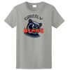 Ladies Ultra Cotton ® 100% Cotton T Shirt Thumbnail