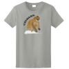 Ladies Ultra Cotton ® 100% Cotton T Shirt Thumbnail