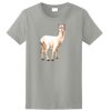 Ladies Ultra Cotton ® 100% Cotton T Shirt Thumbnail