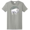 Ladies Ultra Cotton ® 100% Cotton T Shirt Thumbnail