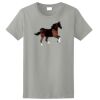 Ladies Ultra Cotton ® 100% Cotton T Shirt Thumbnail