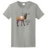 Ladies Ultra Cotton ® 100% Cotton T Shirt Thumbnail
