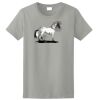 Ladies Ultra Cotton ® 100% Cotton T Shirt Thumbnail