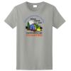 Ladies Ultra Cotton ® 100% Cotton T Shirt Thumbnail