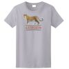 Ladies Ultra Cotton ® 100% Cotton T Shirt Thumbnail