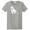 Ladies Ultra Cotton ® 100% Cotton T Shirt Thumbnail
