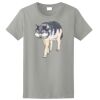 Ladies Ultra Cotton ® 100% Cotton T Shirt Thumbnail