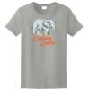 Ladies Ultra Cotton ® 100% Cotton T Shirt Thumbnail