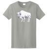 Ladies Ultra Cotton ® 100% Cotton T Shirt Thumbnail