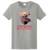 Ladies Ultra Cotton ® 100% Cotton T Shirt Thumbnail