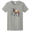 Ladies Ultra Cotton ® 100% Cotton T Shirt Thumbnail