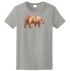 Ladies Ultra Cotton ® 100% Cotton T Shirt Thumbnail