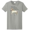 Ladies Ultra Cotton ® 100% Cotton T Shirt Thumbnail