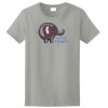 Ladies Ultra Cotton ® 100% Cotton T Shirt Thumbnail
