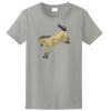 Ladies Ultra Cotton ® 100% Cotton T Shirt Thumbnail