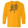 Youth Heavy Cotton™ Long Sleeve T-Shirt Thumbnail