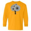 Youth Heavy Cotton™ Long Sleeve T-Shirt Thumbnail