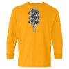 Youth Heavy Cotton™ Long Sleeve T-Shirt Thumbnail