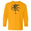 Youth Heavy Cotton™ Long Sleeve T-Shirt Thumbnail
