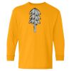 Youth Heavy Cotton™ Long Sleeve T-Shirt Thumbnail