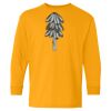 Youth Heavy Cotton™ Long Sleeve T-Shirt Thumbnail