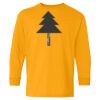 Youth Heavy Cotton™ Long Sleeve T-Shirt Thumbnail