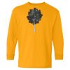 Youth Heavy Cotton™ Long Sleeve T-Shirt Thumbnail