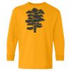 Youth Heavy Cotton™ Long Sleeve T-Shirt Thumbnail